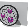Spider Explorer Insert