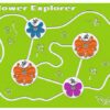 Flower Explorer Play Panel