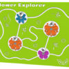 Flower Explorer Play Panel