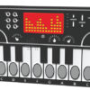 PlayTronic Synthesizer Musical Insert