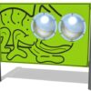 Zoom Bug Eyes Chameleon Play Panel
