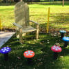 Toadstool