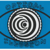 Wormhole Optical Illusion Play Panel